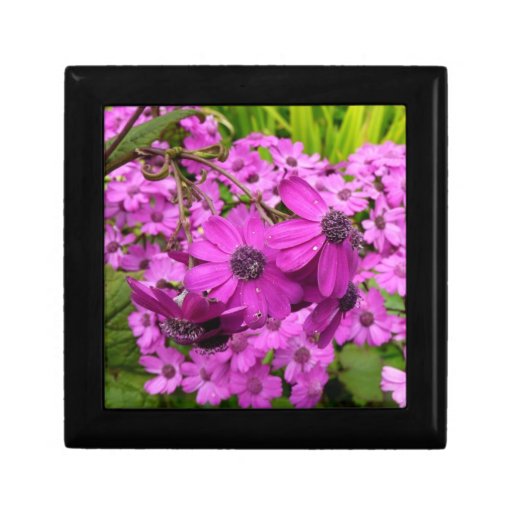 Purple Flowers Gift Box