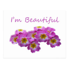 Purple flowers, I'm beautiful Post Cards