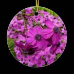 Purple Flowers in San Francisco Ornament