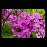 Purple Flowers in San Francisco Premium Magnet