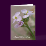 Purple Flowers Mother's Day Card