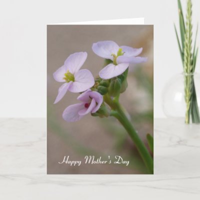 mothers day flowers images. Purple Flowers Mother#39;s Day