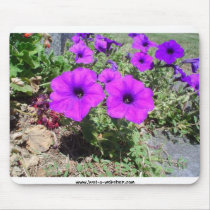 Purple Flowers mousepads