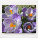 Purple flowers mousepads