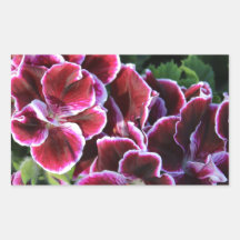 Purple Flowers on a field of greens Rectangular Stickers