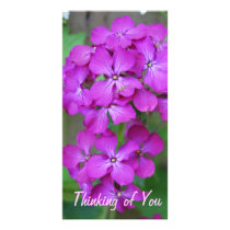 Purple Flowers photo cards