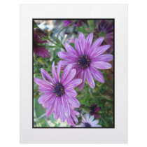 Purple Flowers Picture! letterhead