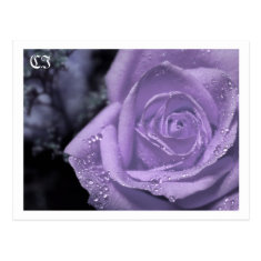 Purple Flowers - Post card