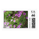 purple flowers postage
