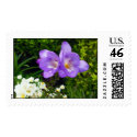 Purple Flowers postage