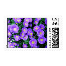 Purple Flowers stamps