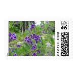 Purple Flowers Postage