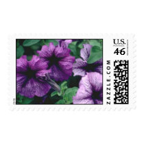Purple Flowers Postage Stamp stamps