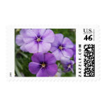 Purple Flowers Postage Stamp