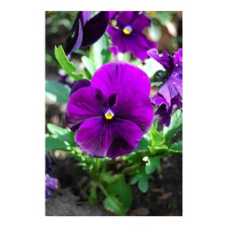 Purple Flowers print