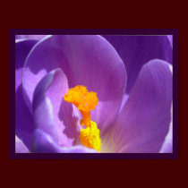 Purple Flowers Print Blue Crocus Poster Decor posters