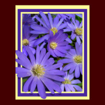 Purple Flowers Print Blue Daisies Art Poster posters