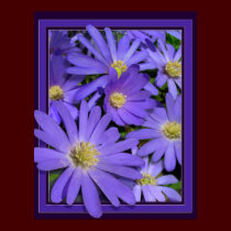 Purple Flowers Print Blue Daisies Art Poster posters