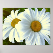 Purple Flowers Print Classic Daisies Poster Print