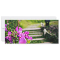 Purple flowers rack cards