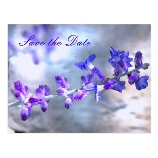 Purple Flowers Save the Date Post Card