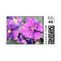 Purple Flowers Stamps stamps