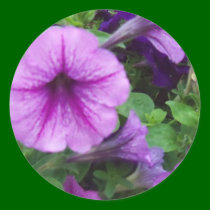 purple flowers stickers
