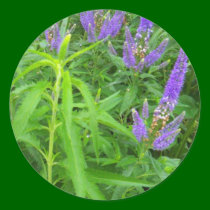purple flowers stickers