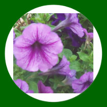 purple flowers stickers