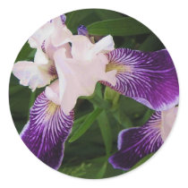 Purple Flowers Stickers by RookyStudios Purple Flowers Stickers
