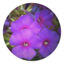 Purple Flowers Stickers