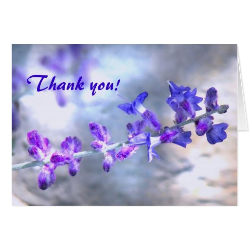 purple flowers thank you 