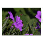 Purple flowers with bee hovering above greeting card