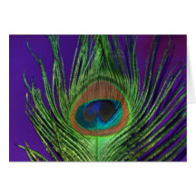 Purple Foil Single Peacock Cards