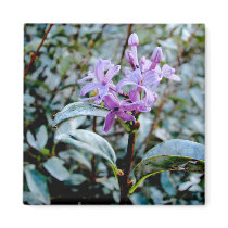 Purple For You magnets