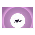 Purple Frog posters