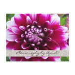 Purple Fuschia dahlia rsvp Post Card