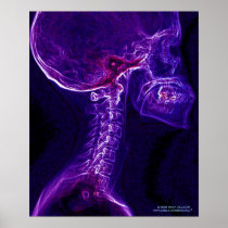 Purple/Fushia C-Spine poster