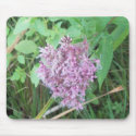 Purple fuzzy wild flowers mousepads