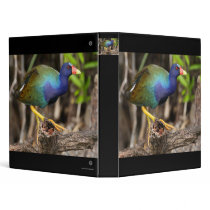 purple gallinule binders