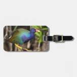 purple gallinule tag for luggage