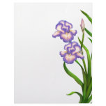 Purple Garden Iris Flowers Letterhead