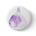Purple Garlic Button