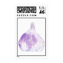 Purple Garlic Stamp