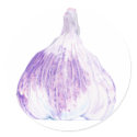 Purple Garlic Sticker by floatinglemons Purple Garlic Sticker
