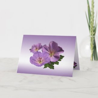 Purple Geranium Flowers Easter