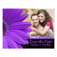 Purple Gerbera Black Photo Save the Date Card