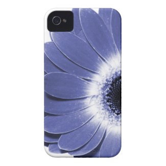 purple gerbera daisy flower i-phone case iphone 4 cases
