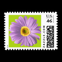 Purple Gerbera Daisy Postage Stamps