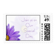 Purple Gerbera Daisy Wedding Postage Stamps